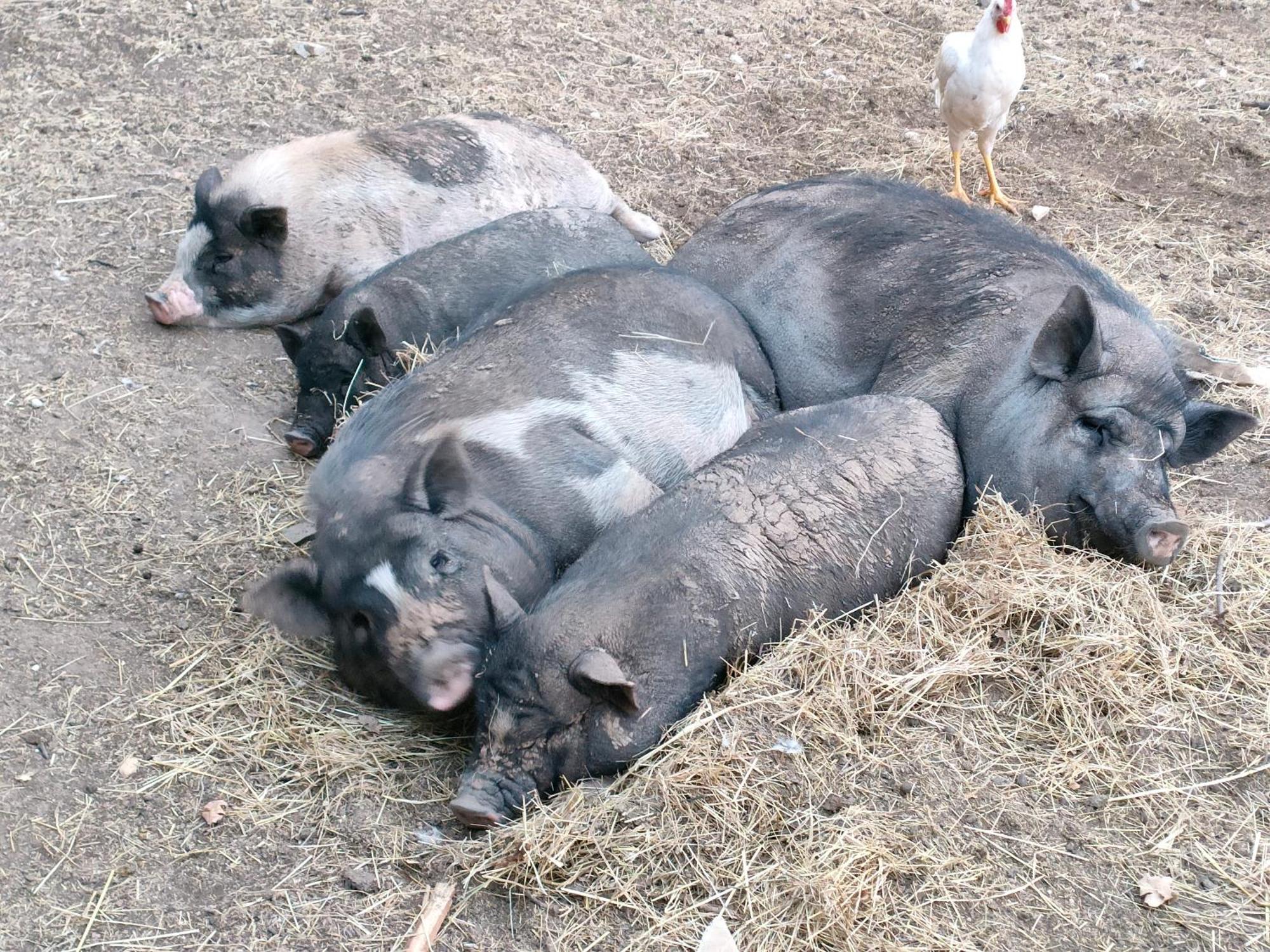 Gite A La Ferme Ongles المظهر الخارجي الصورة