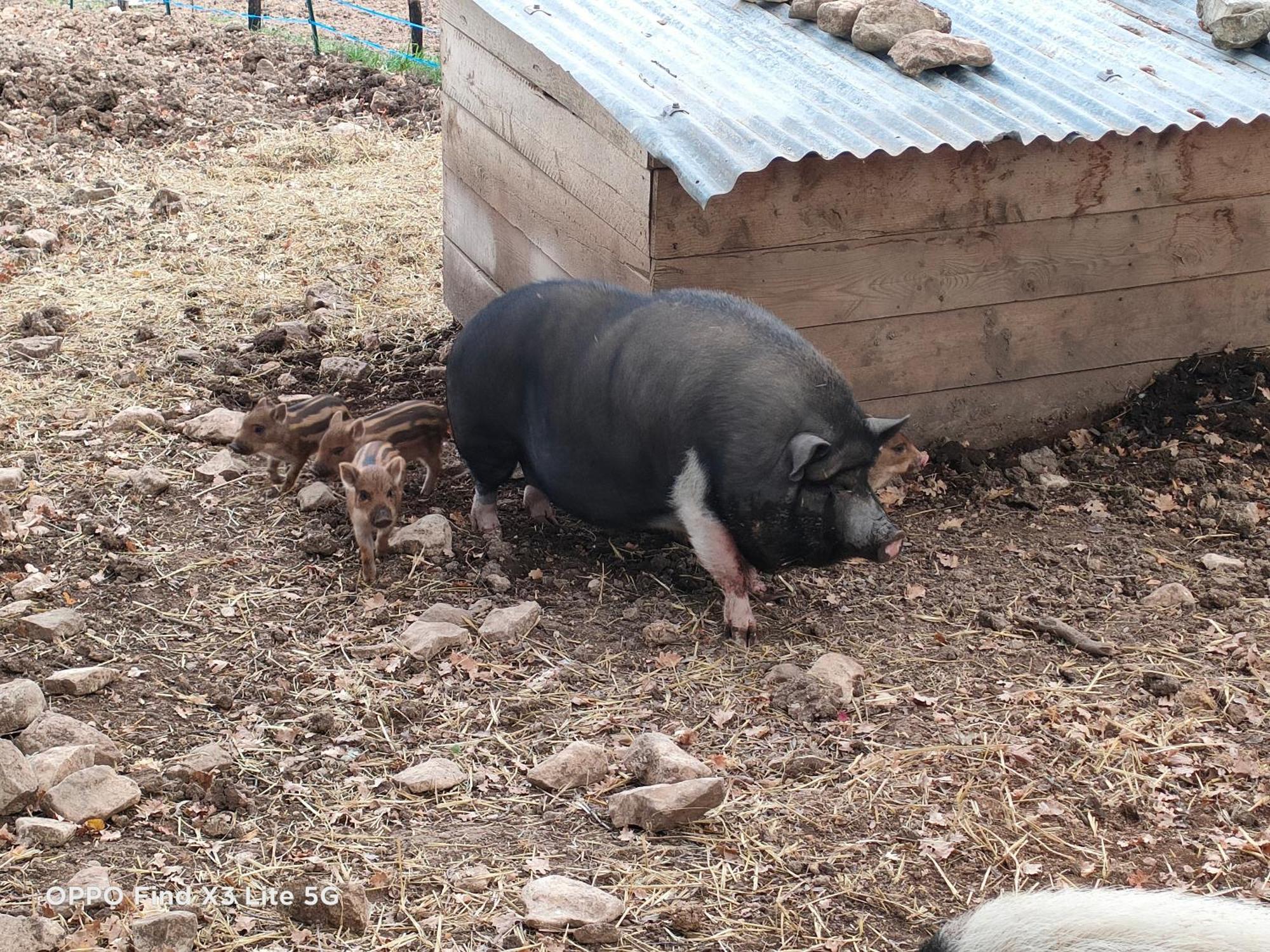 Gite A La Ferme Ongles المظهر الخارجي الصورة