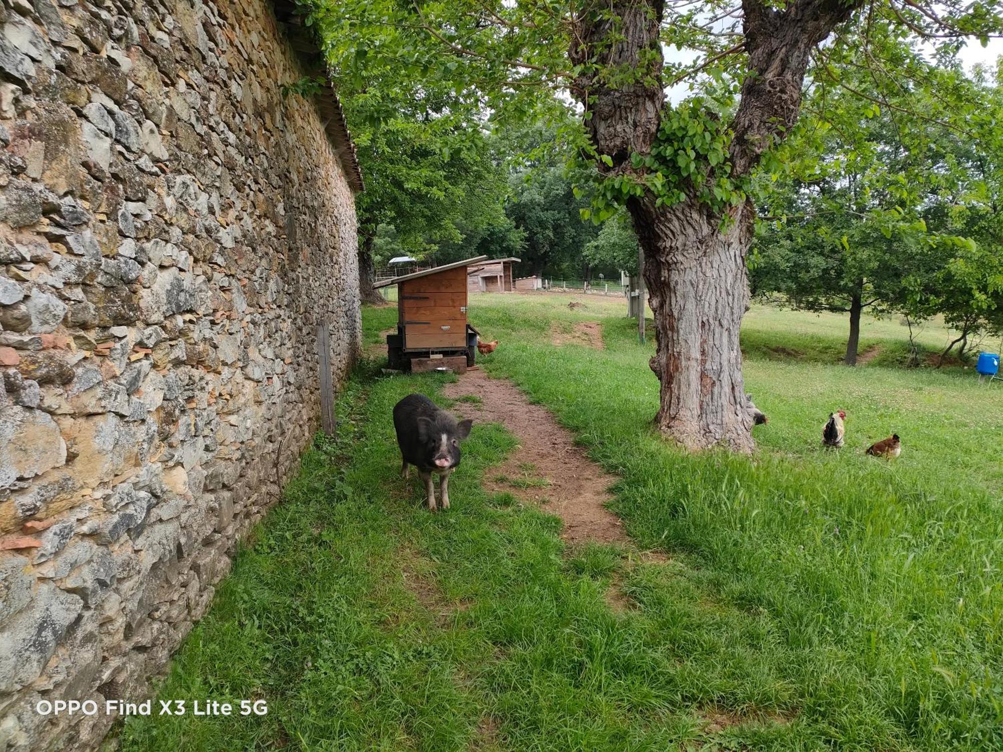 Gite A La Ferme Ongles المظهر الخارجي الصورة