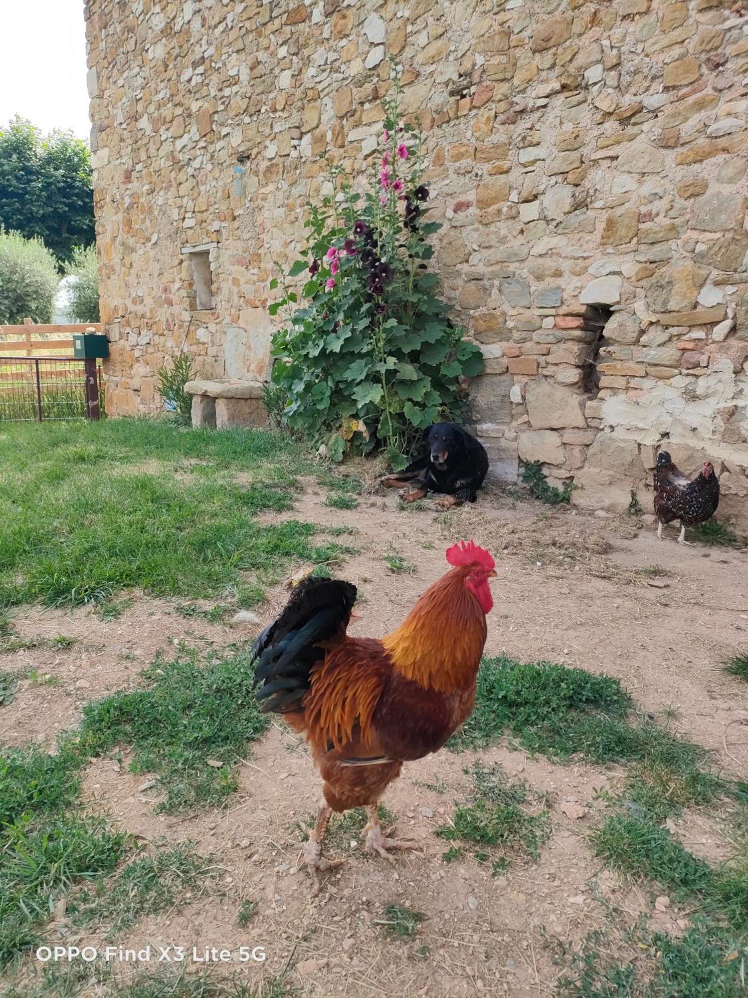 Gite A La Ferme Ongles المظهر الخارجي الصورة
